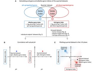 Figure from: The gene expression patterns as surrogate indices of pH in the brain