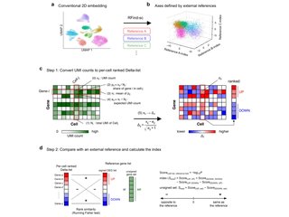 Figure from: RFind-sc maps single cells onto biological axes defined by external gene signatures