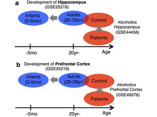 Figure from: Transcriptomic immaturity of the hippocampus and prefrontal cortex in patients with alcoholism